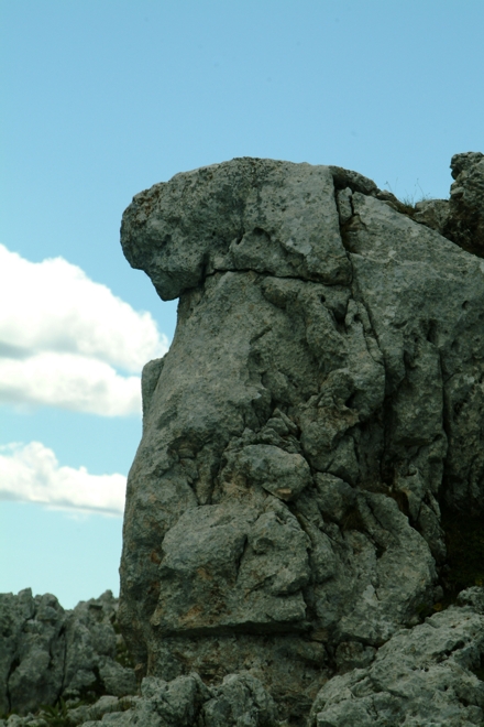 Sculture naturali